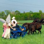 Amish Group Visits Holland